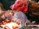 Tips-Pemberian-Pakan-Ayam-Bangkok-Berkualitas-Berdasarkan-Usia-Ayam