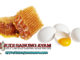 manfaat telur ayam dan madu untuk ayam bangkok